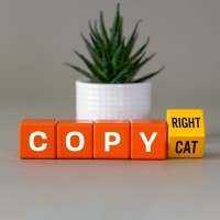 With AI, Tread Carefully to Avoid Intellectual Property Traps